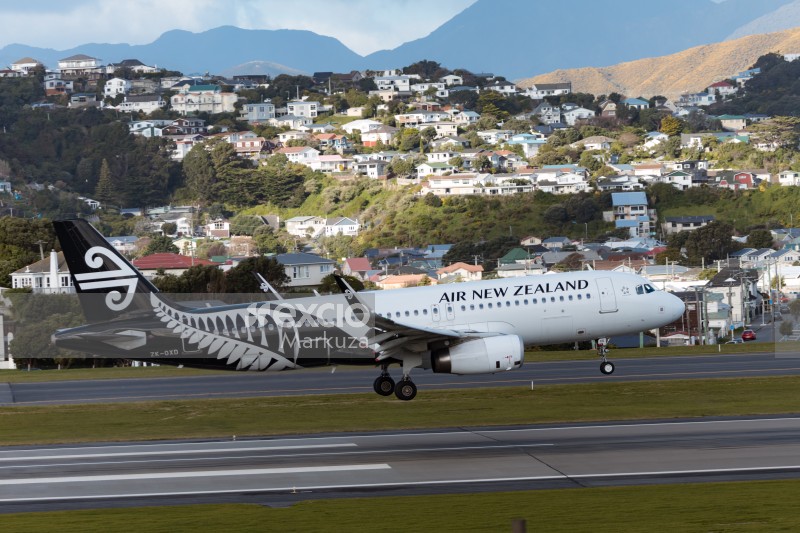 Wellington city landscape and airport