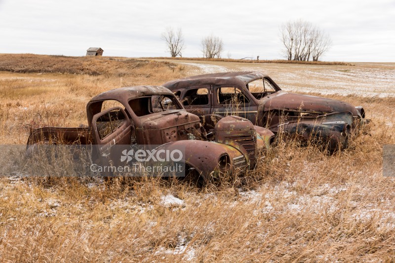 Old cars in Ditch