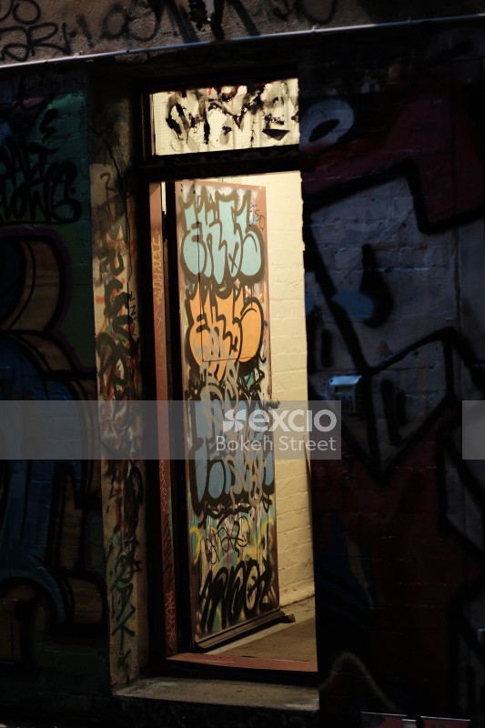 Graffitied building door and wall