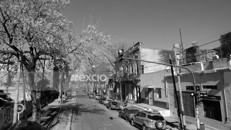 Buenos Aires street B&W