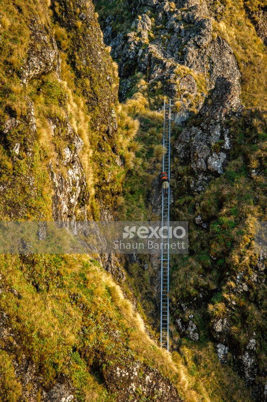 Tramper, Tararua Peaks ladder