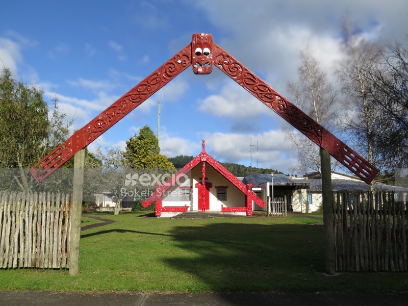 Maori carved Marae entrance googly eyes