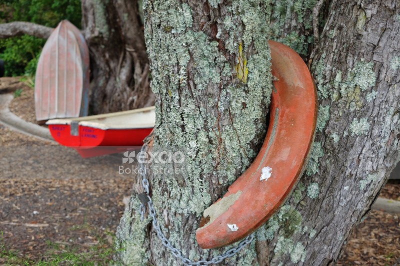 Boats and a mossy tree trunk with a horseshoe shaped metal object