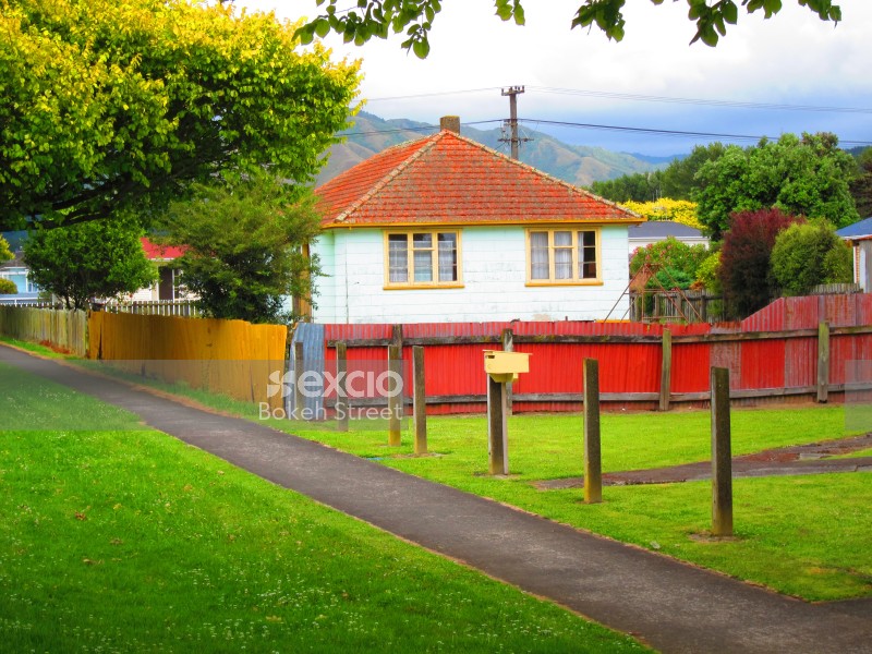 Vibrant green grass and a foothpath in residential area in Hawkes bay