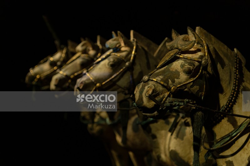 Four terracotta horses bokeh