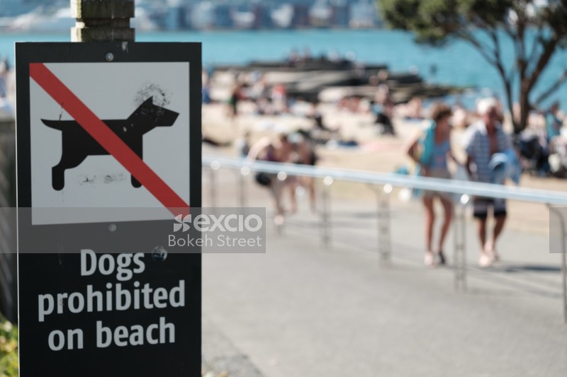 No dogs allowed on the beach sign