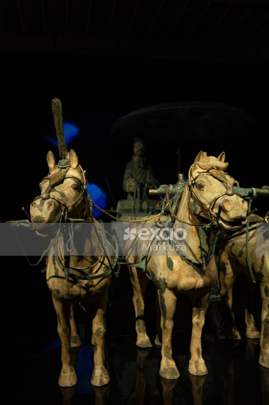 The terracotta horses going to war