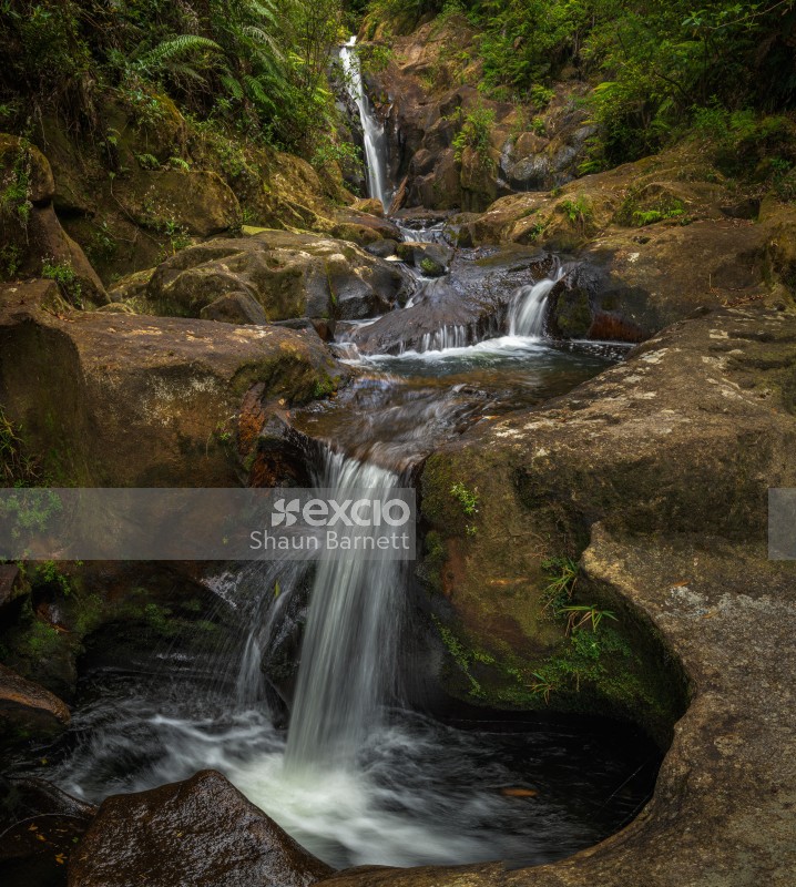 Waterfall, Kaimai Range, 