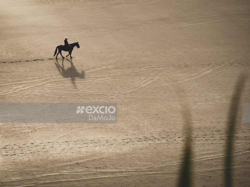 Lonely Horse Rider on Raglan Beach