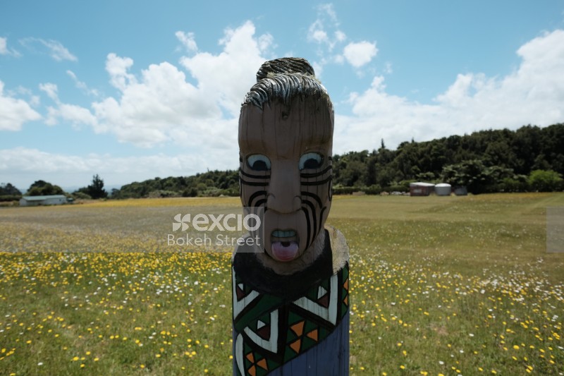 Maori culture statue Marae in dandelion field