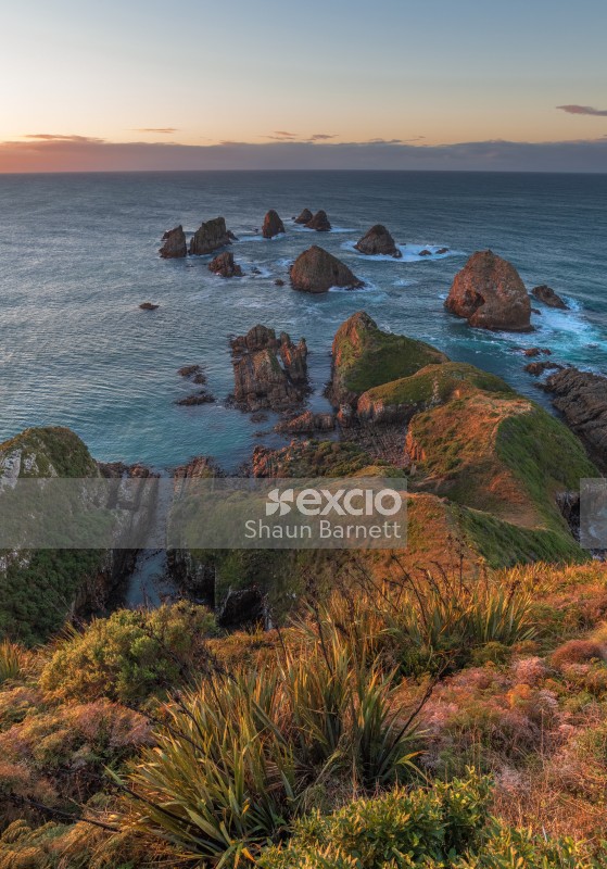 Nugget Point, The Catlins, Otago