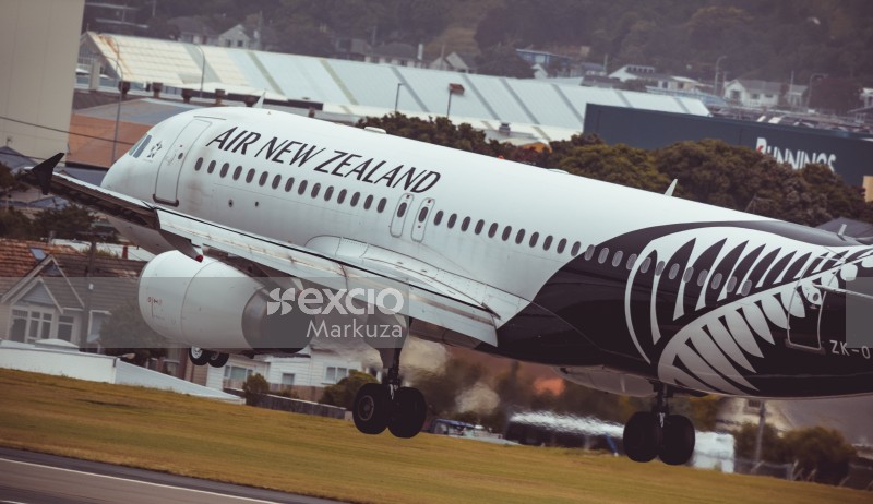 AIR NZ jet Black and White Fern paint