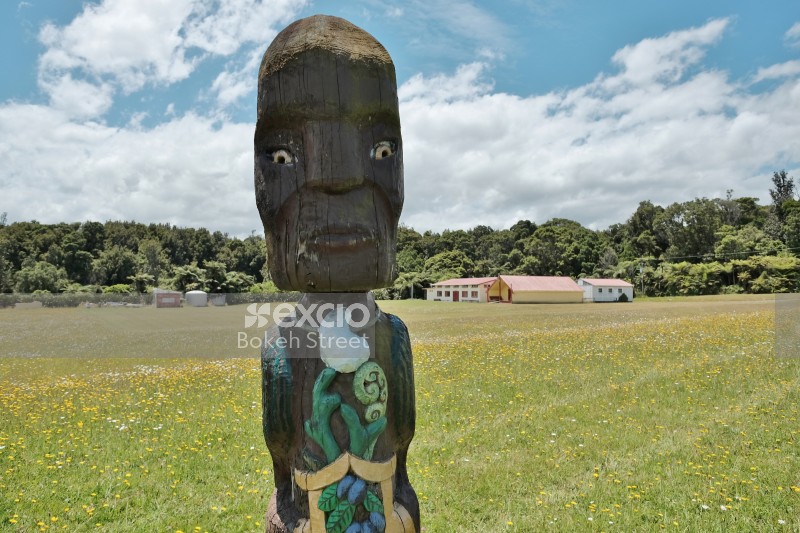 Pouwhenua carved statue Marae dandelion field