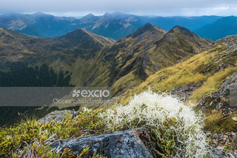 View from Mount Haast