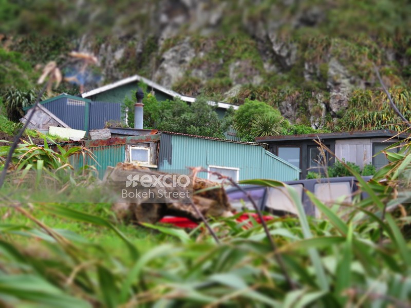 Vegetation and shacks at Owhiro bay
