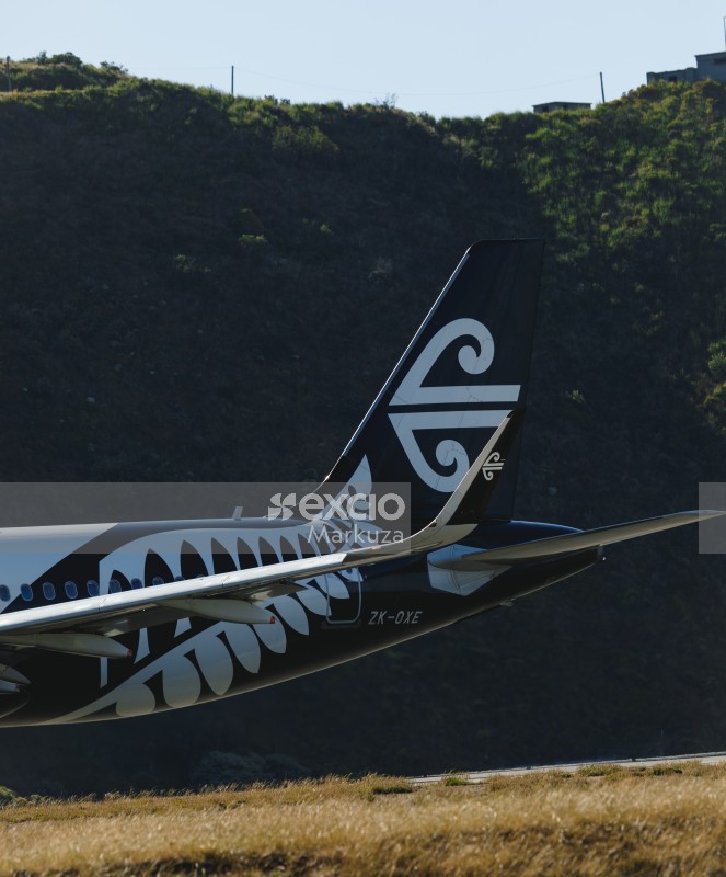 AIR New Zealand logo on rudder