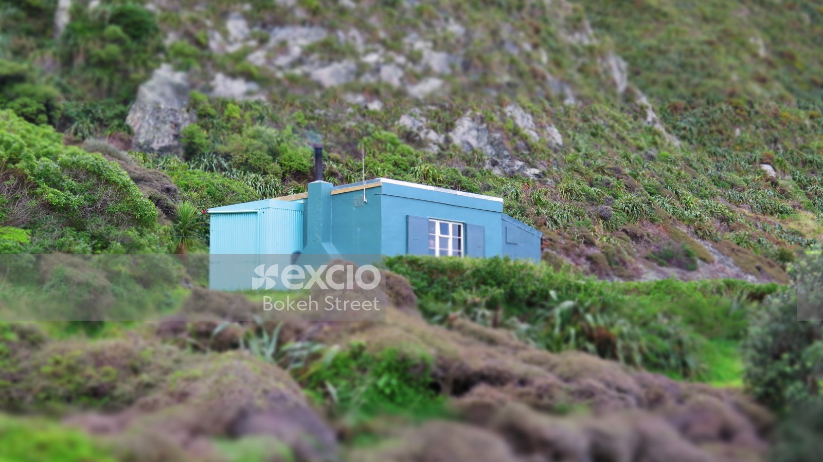 Blue shack with chimney on higher ground and vegetated hill at Owhiro bay