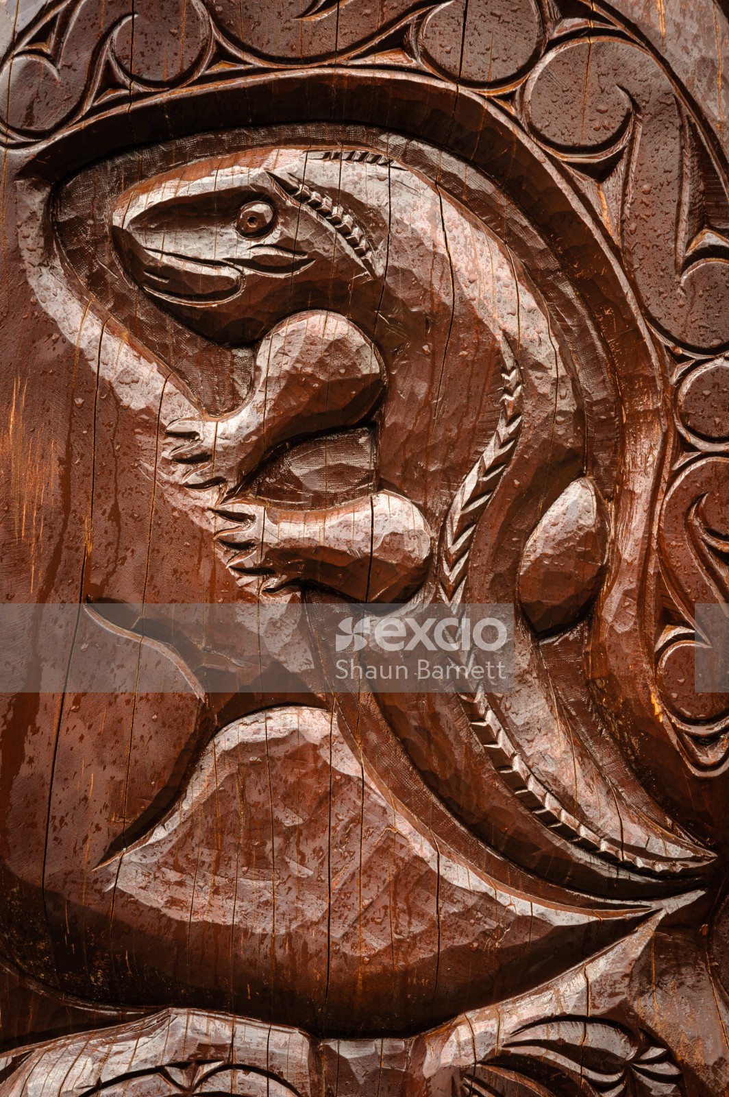 Maori carving, Dawson Falls