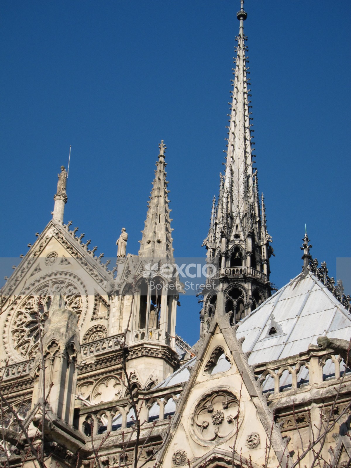 Notre Dame facade and spire Paris