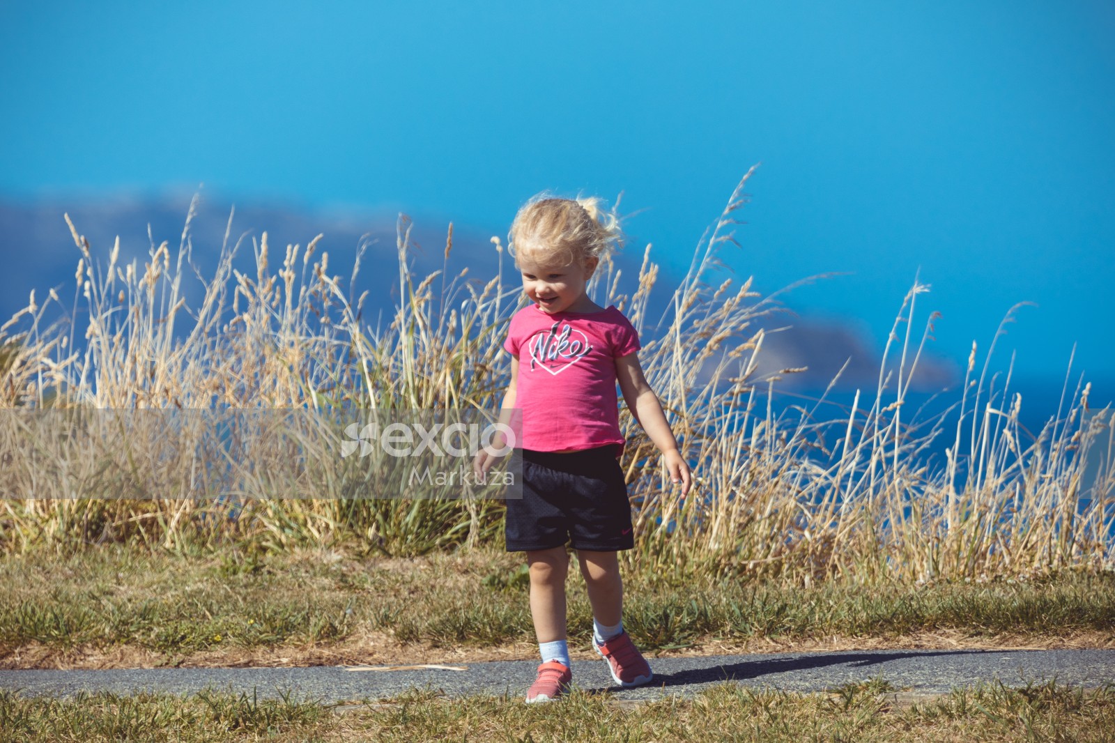 Little girl in pink shirt on a pathway
