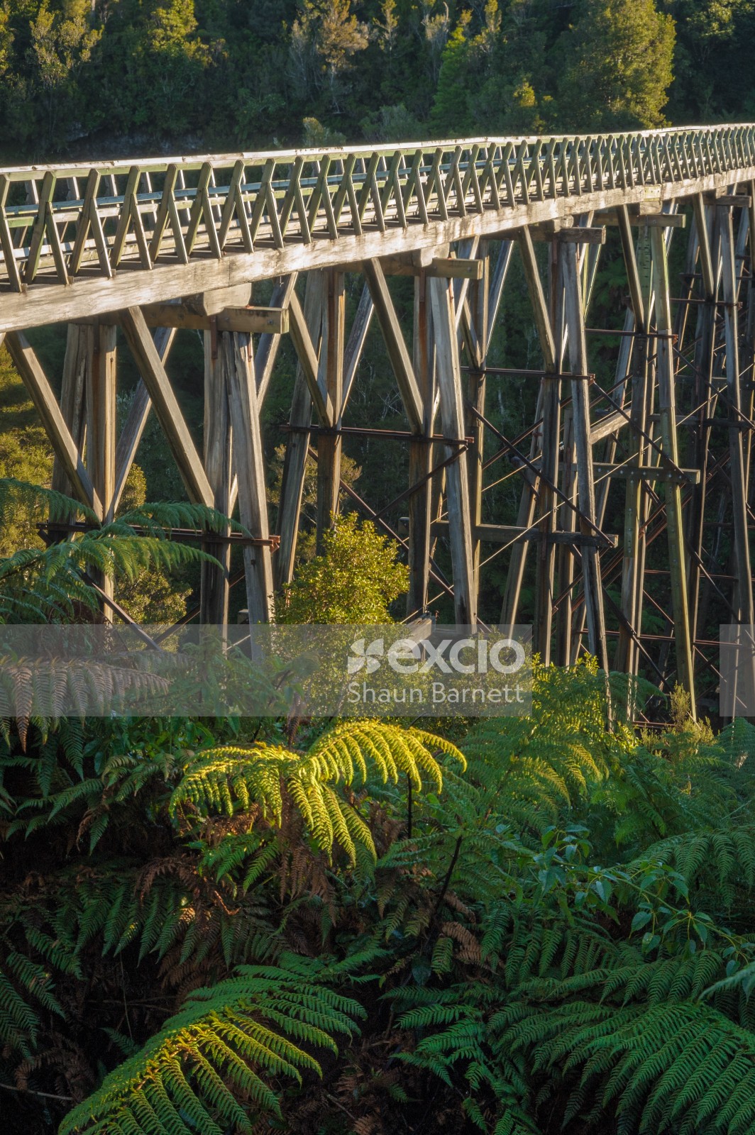 Percy Burn Viaduct, Fiordland