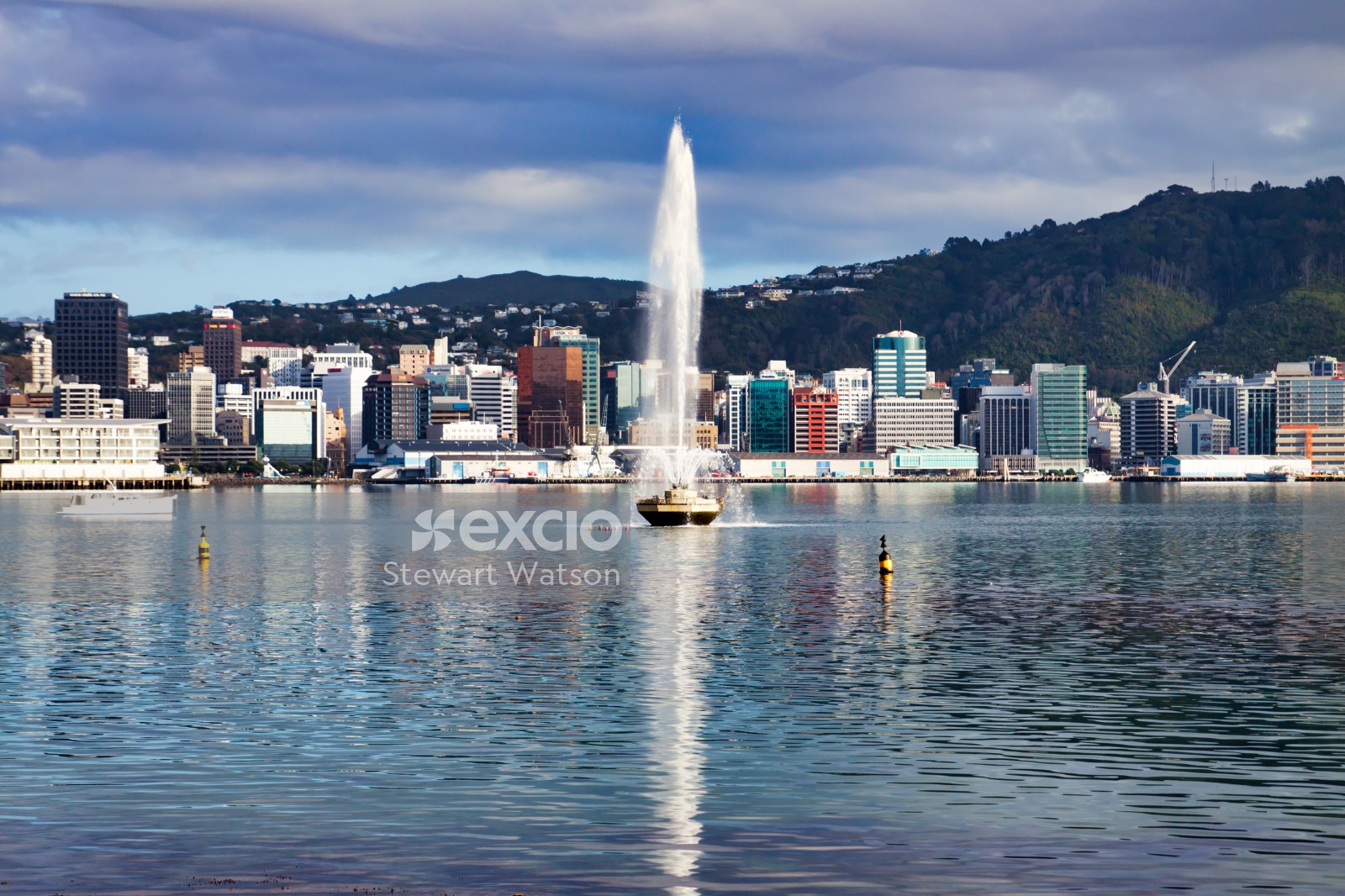 Wellington city fountain