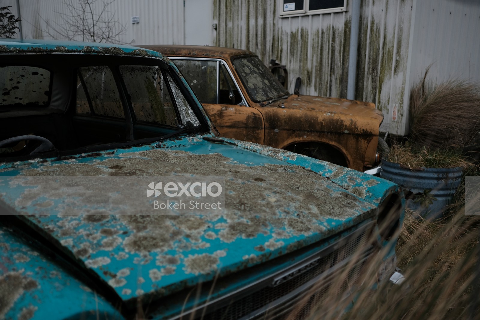 Old blue and orange abandoned mouldy Austin cars in Christchurch