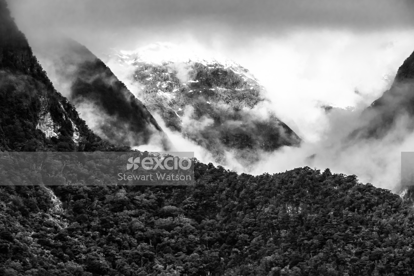 Mountains of Milford Sound in Monochrome