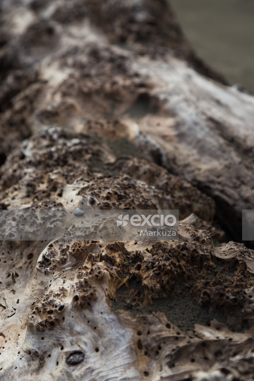 Driftwood texture bokeh