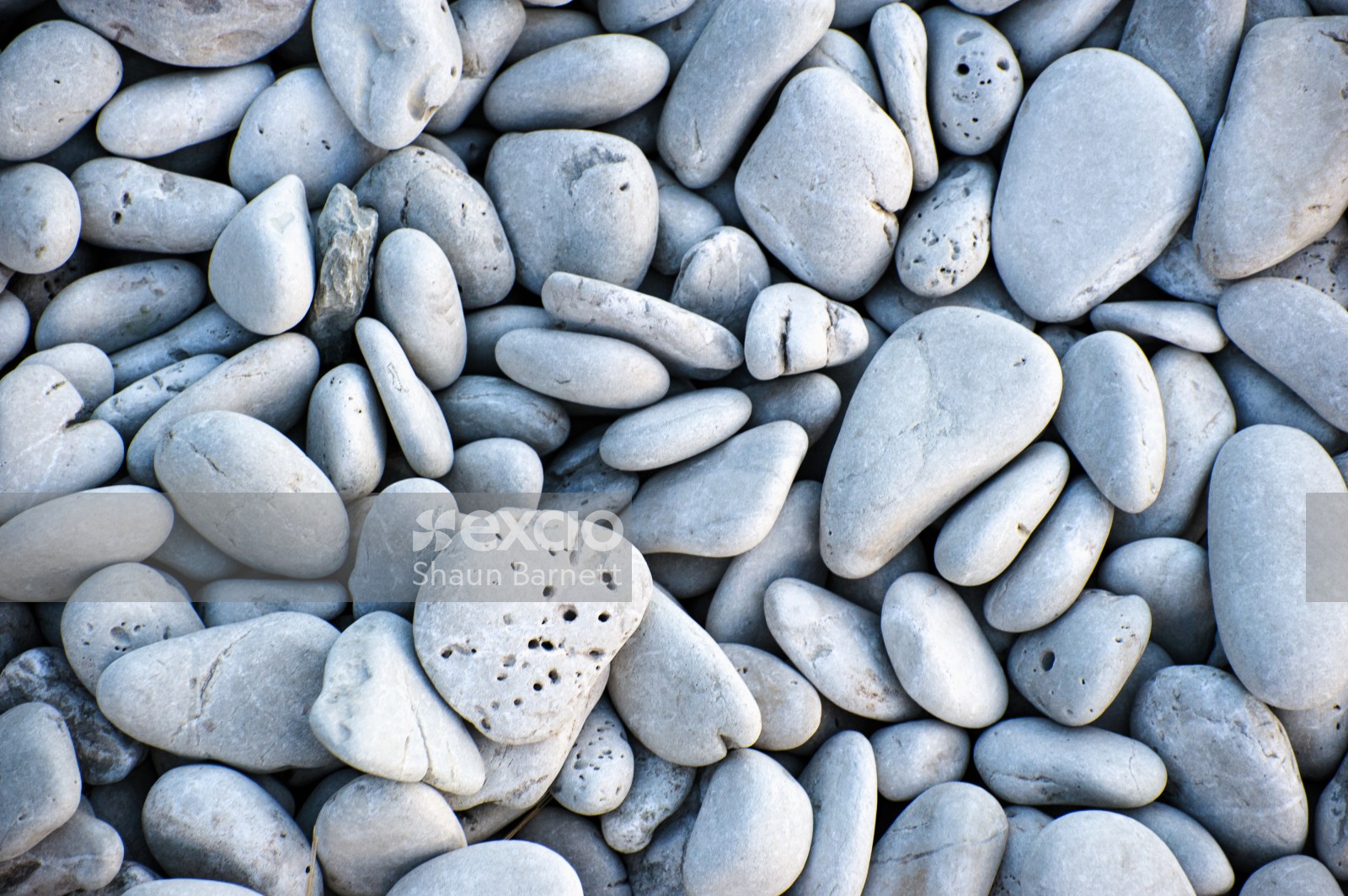 Limestone pebbles, Kaikoura