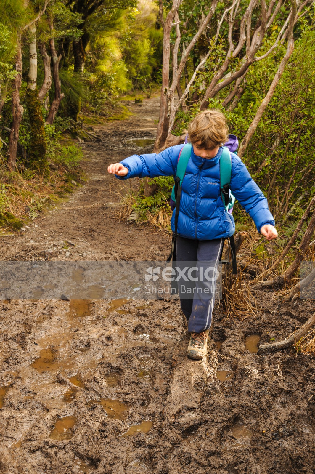 Avoiding mud, Mt Holdsworth Track