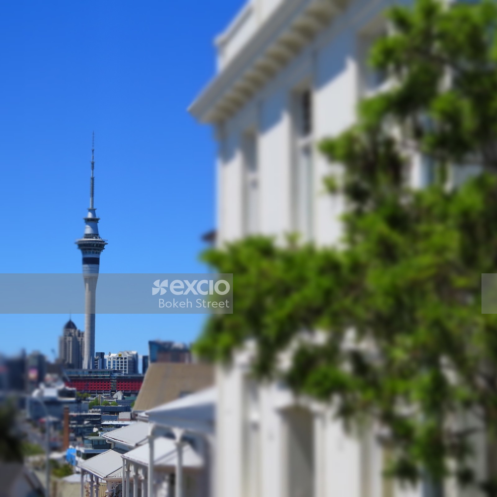 Auckland sky tower bokeh