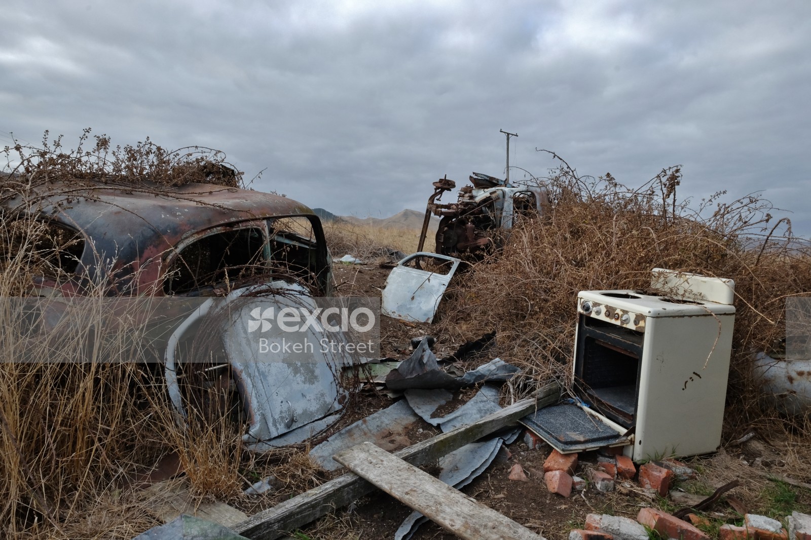 Wrecked old car and cooking range in weed in a field