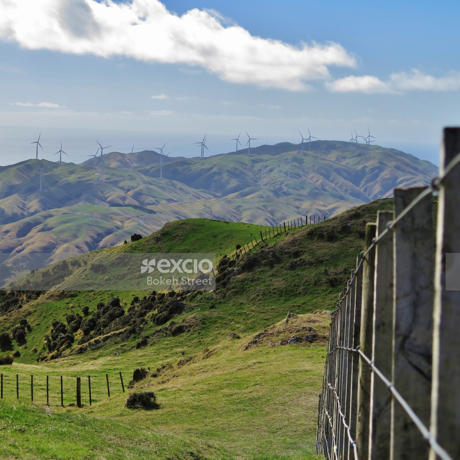 Skyline of wind farm on grassy hills Ohariu Wellington