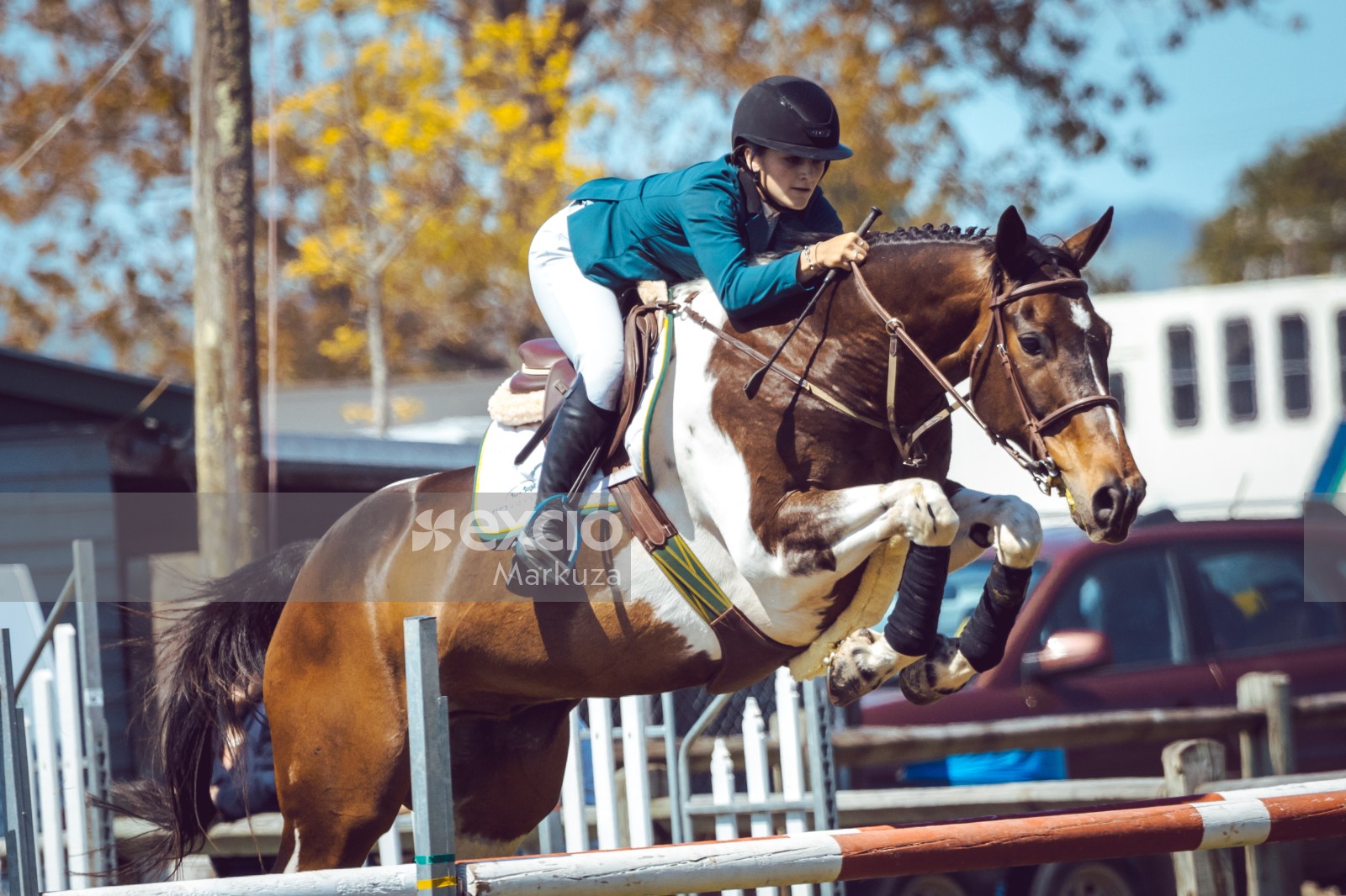 White and brown horse jump