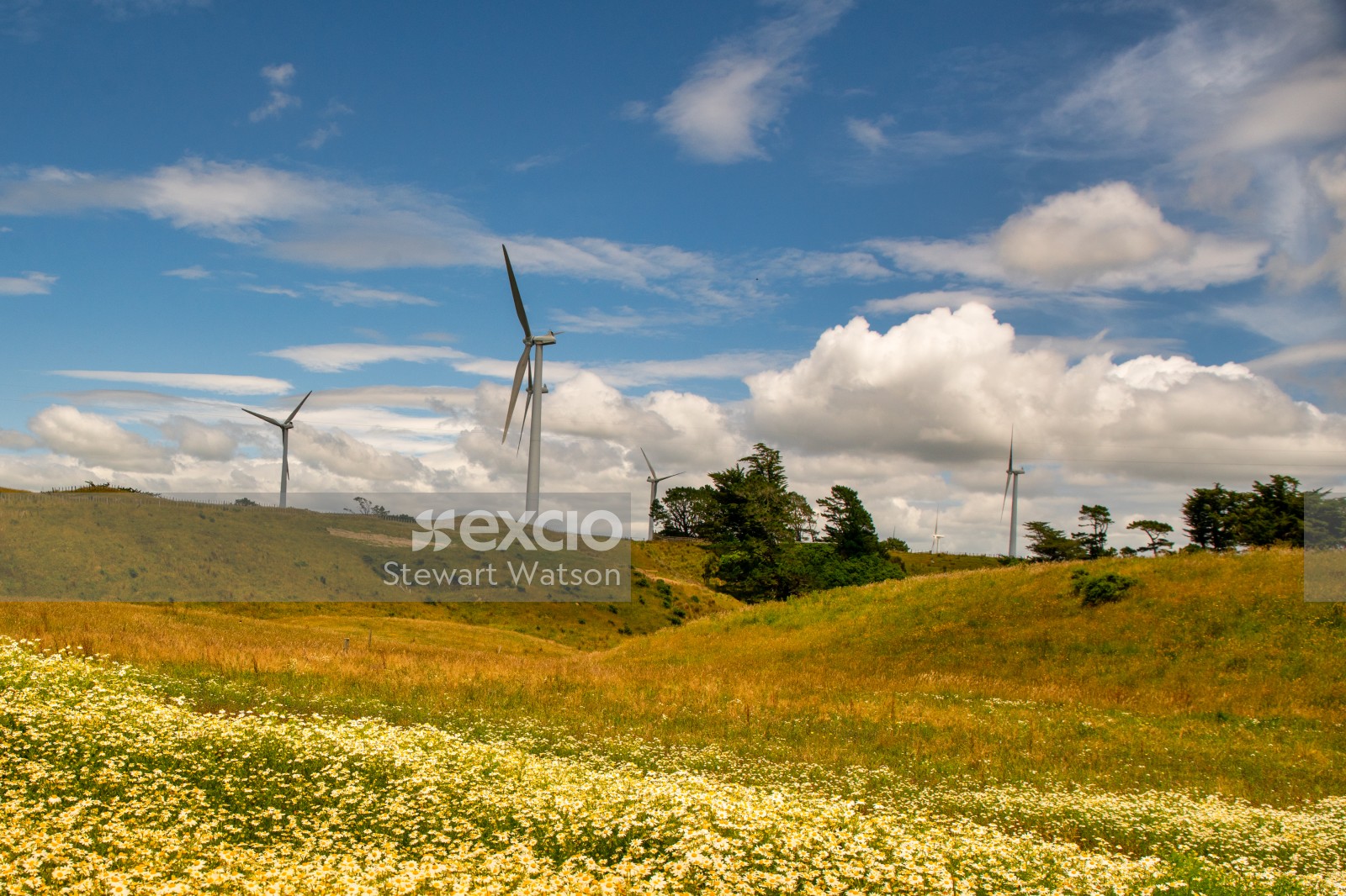 Wind turbines on the farm