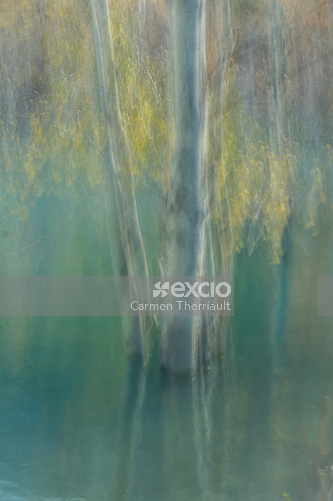 Abstract trees in water