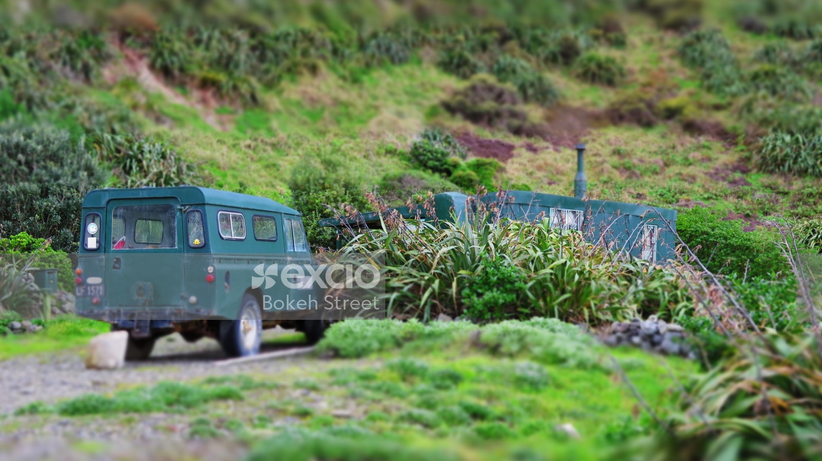 Teal Land rover Spodiopogon plant and a shack on Owhiro Bay