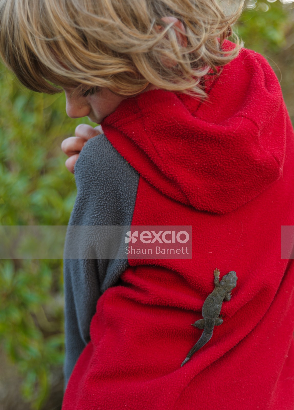 Boy with Duvaucel gecko