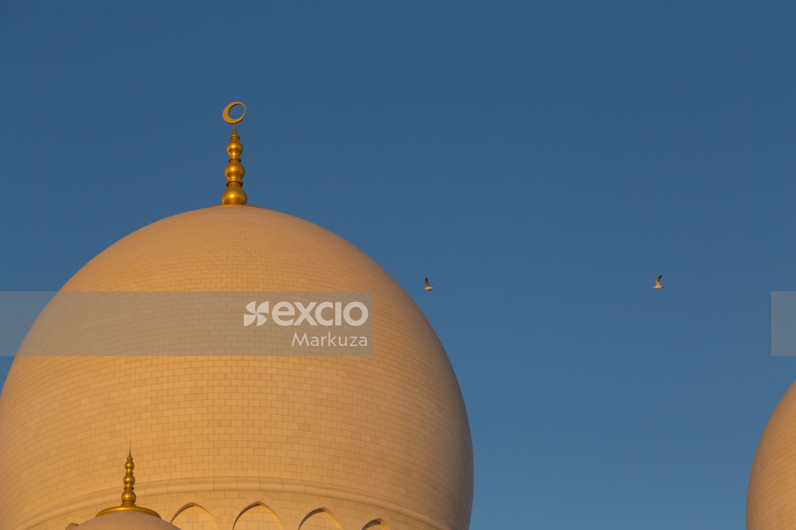 Golden hour and the grand Mosque's dome