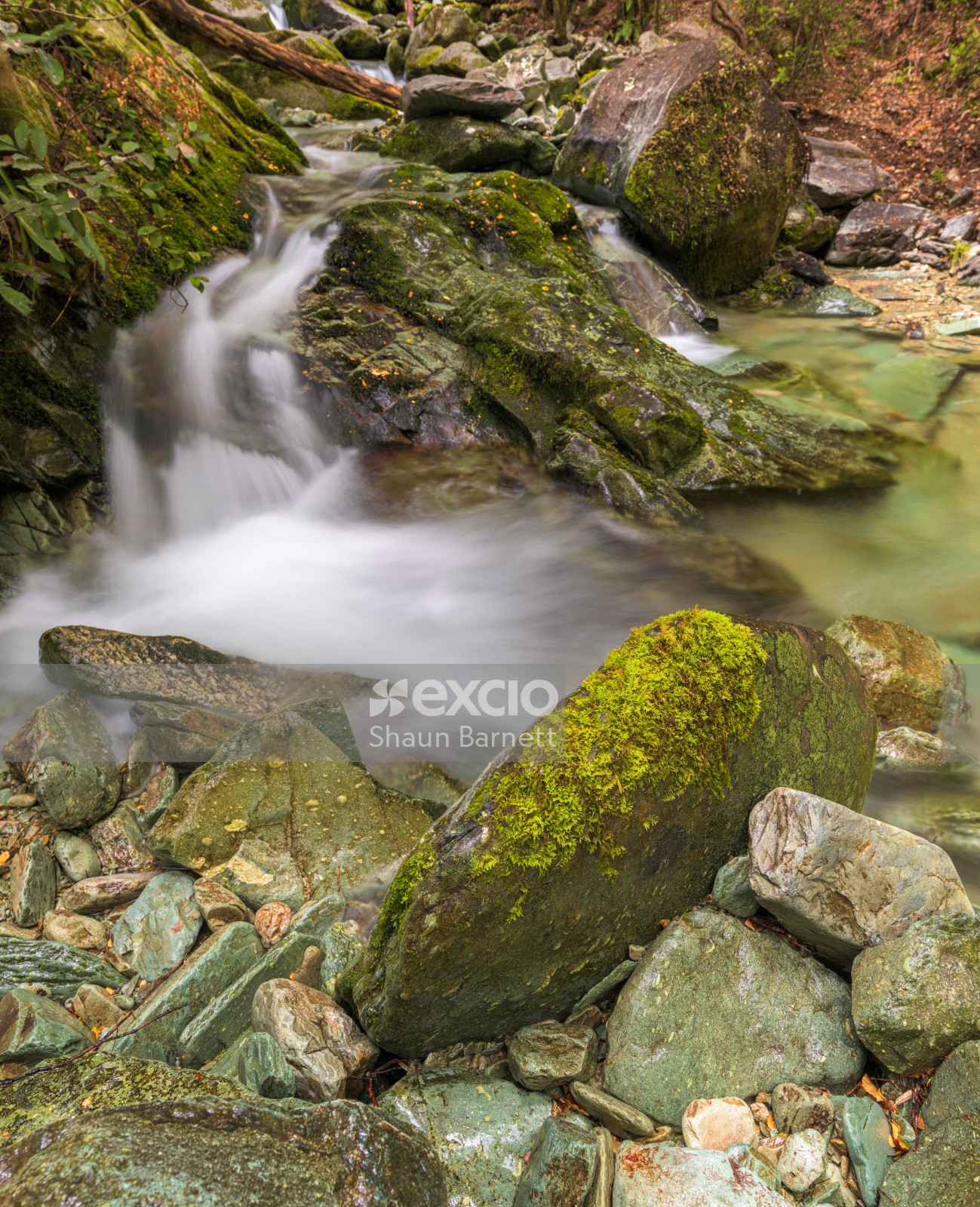 Mossy boulder, Goulter Valley