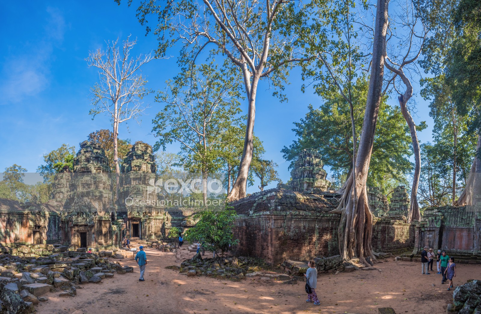 Ta Prohm temple complex, Cambodia