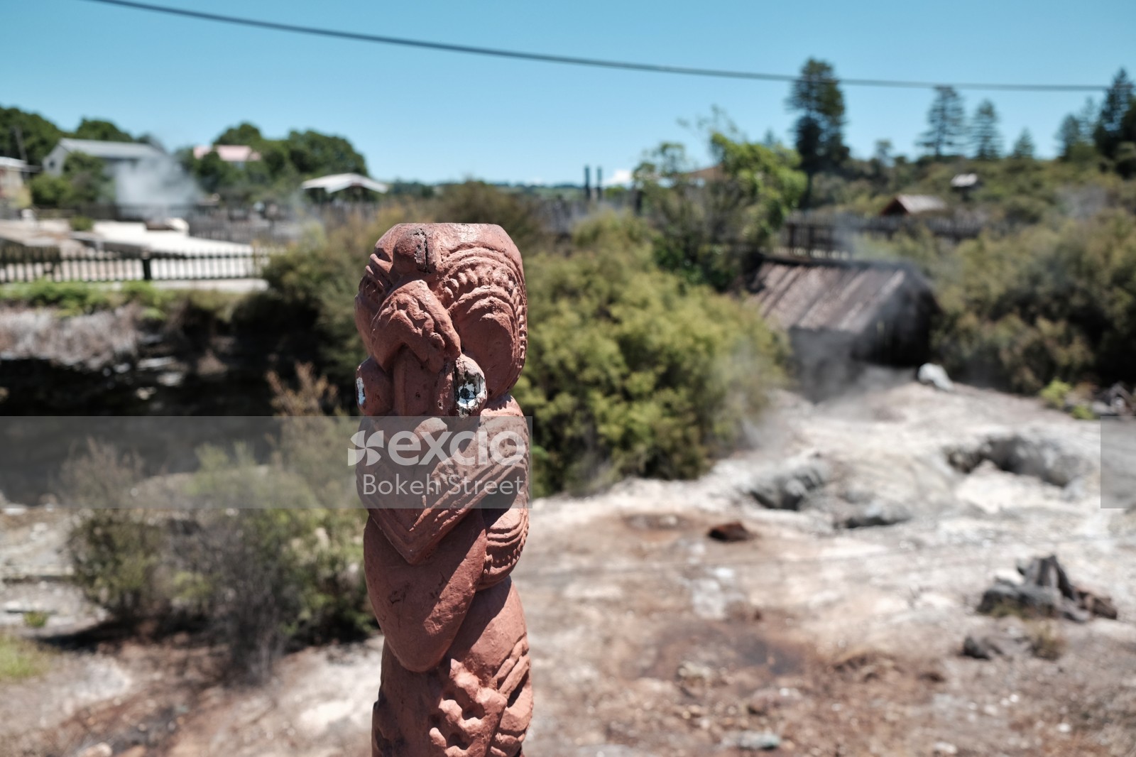 Marae Maori carving sculpture