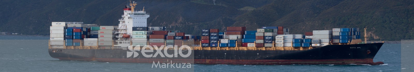 Long shipping container cargo ship panorama