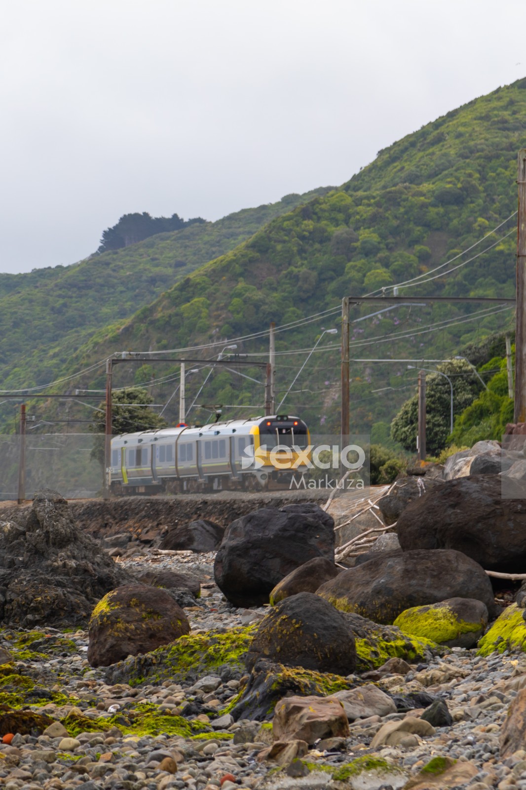 Coastal train and algae on rocks