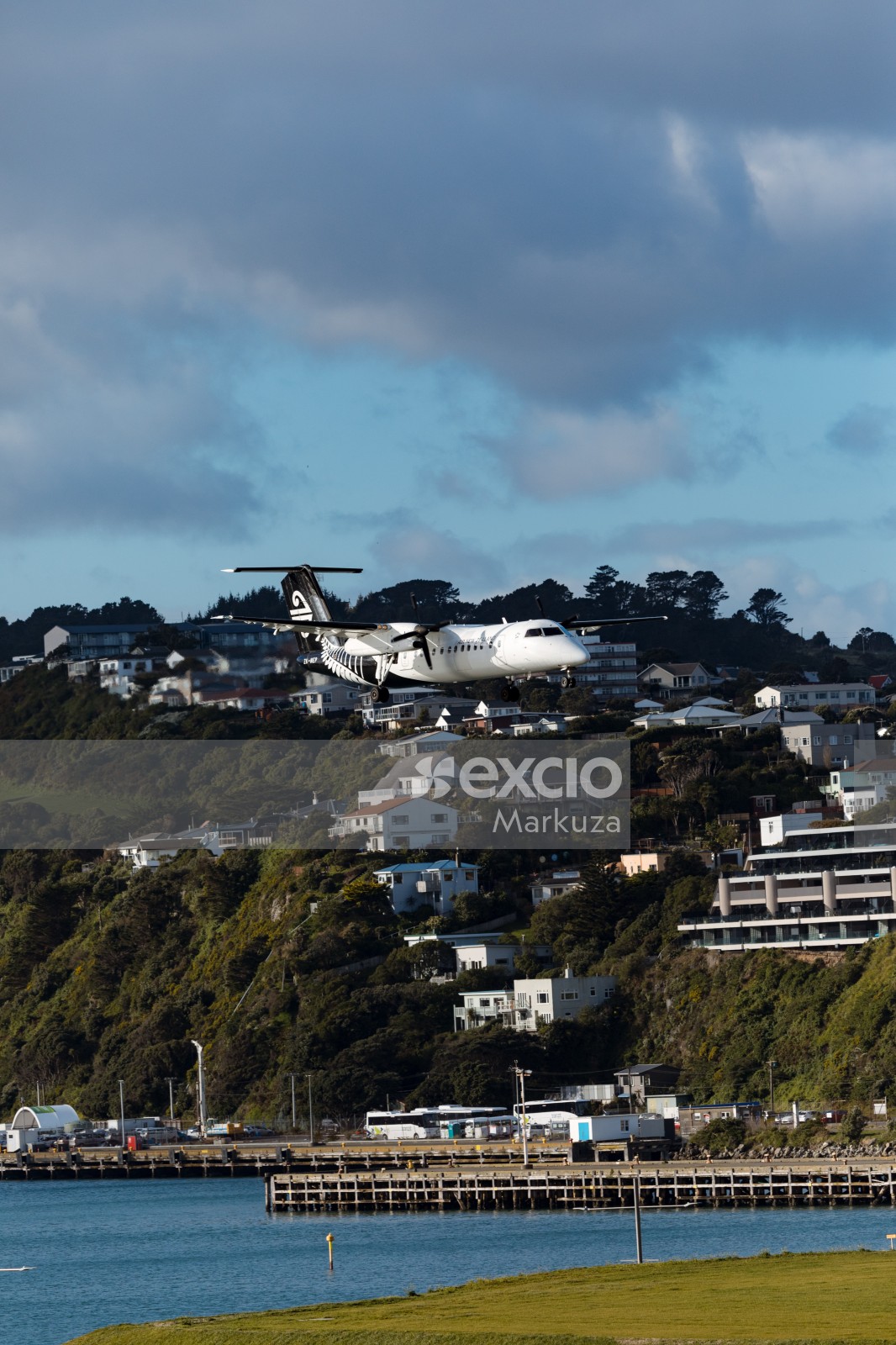 Hillside architecture and AIR NZ Aircraft
