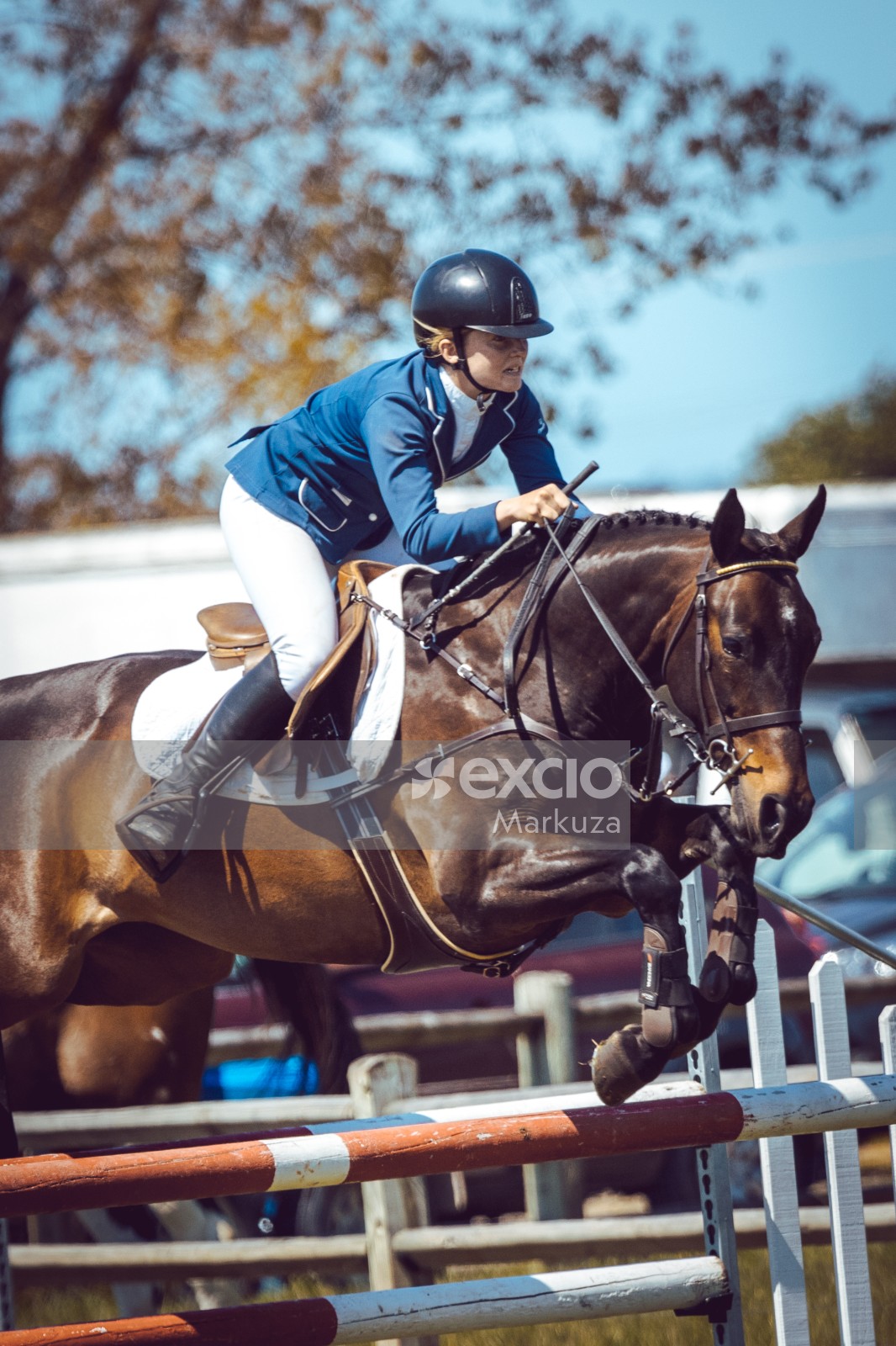 Show jumping competition