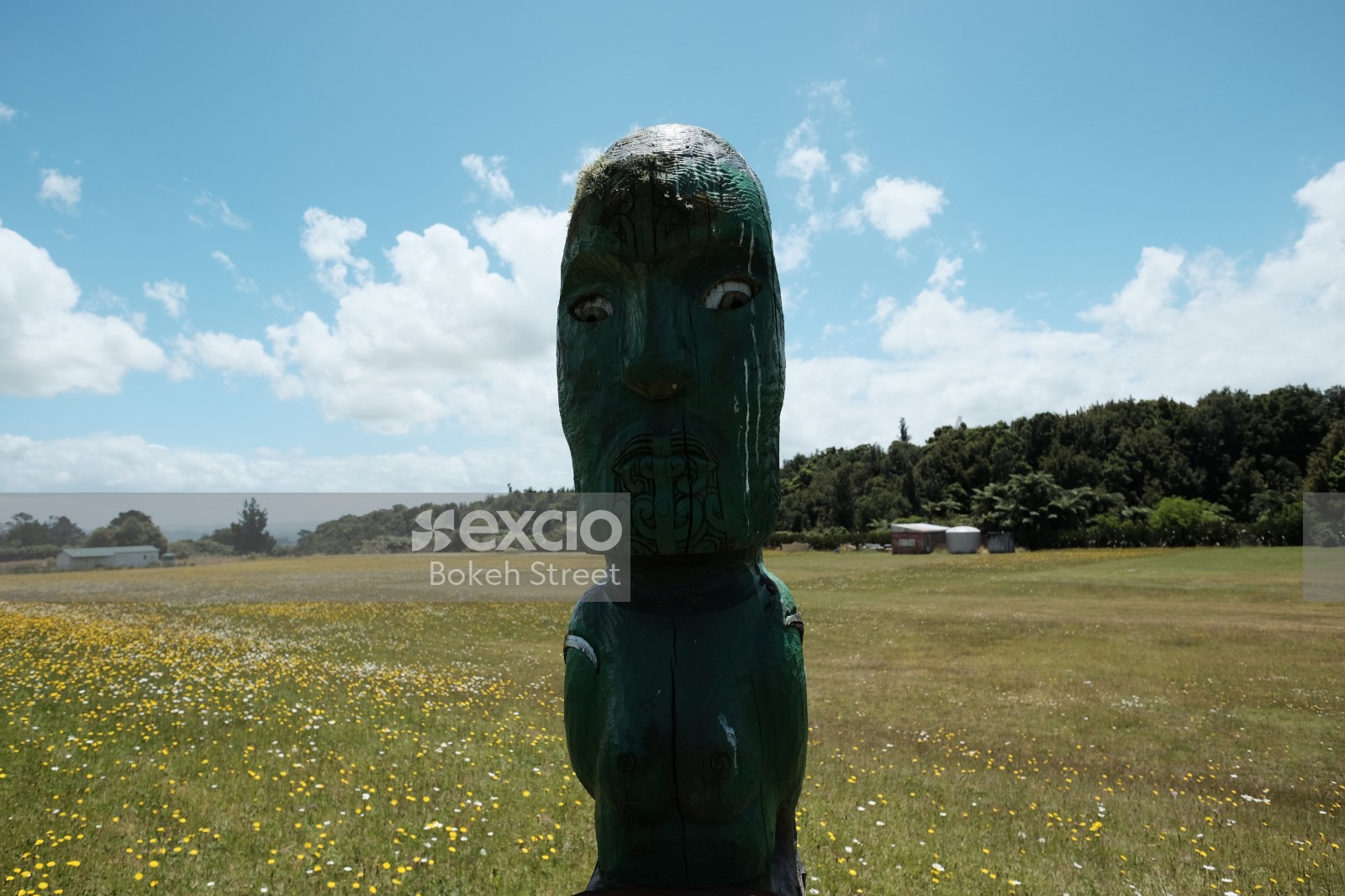 Green Maori statue Marae in grass