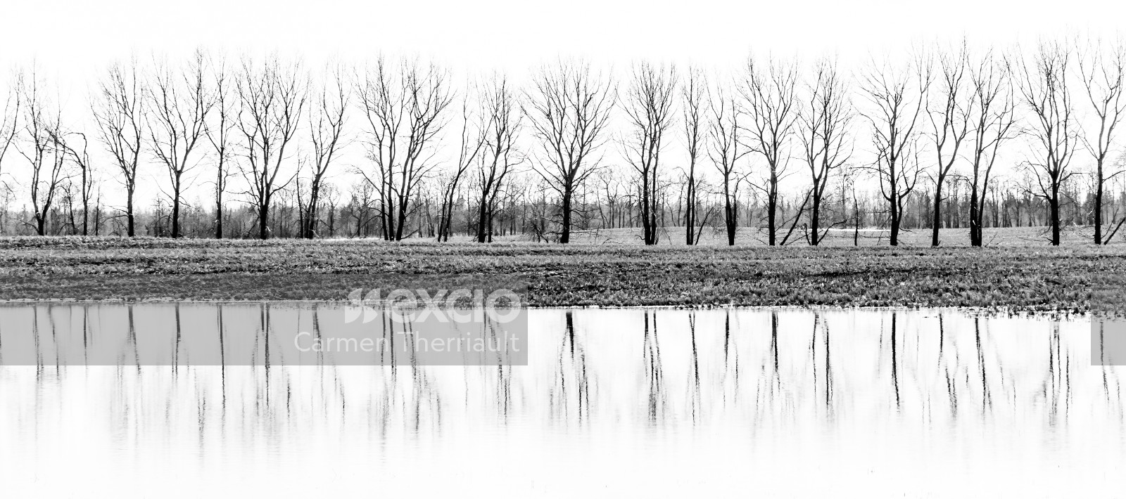 Bare trees and reflection