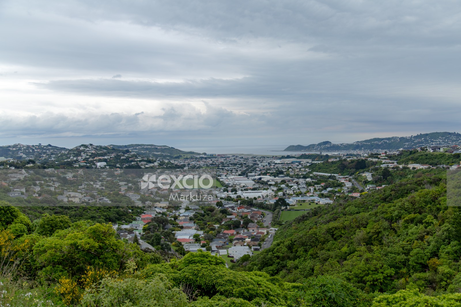 City view from the hills of Wellington
